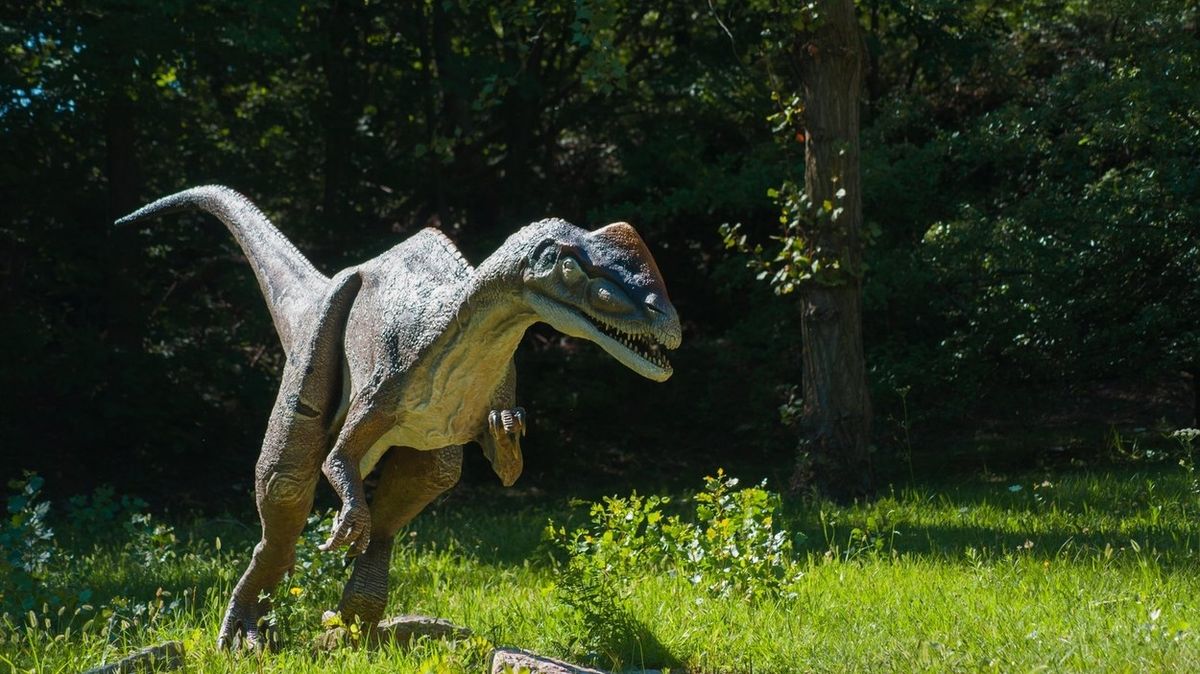 Dinosauři nevyhynuli? Kamera na americkém venkově zachytila podivné stvoření